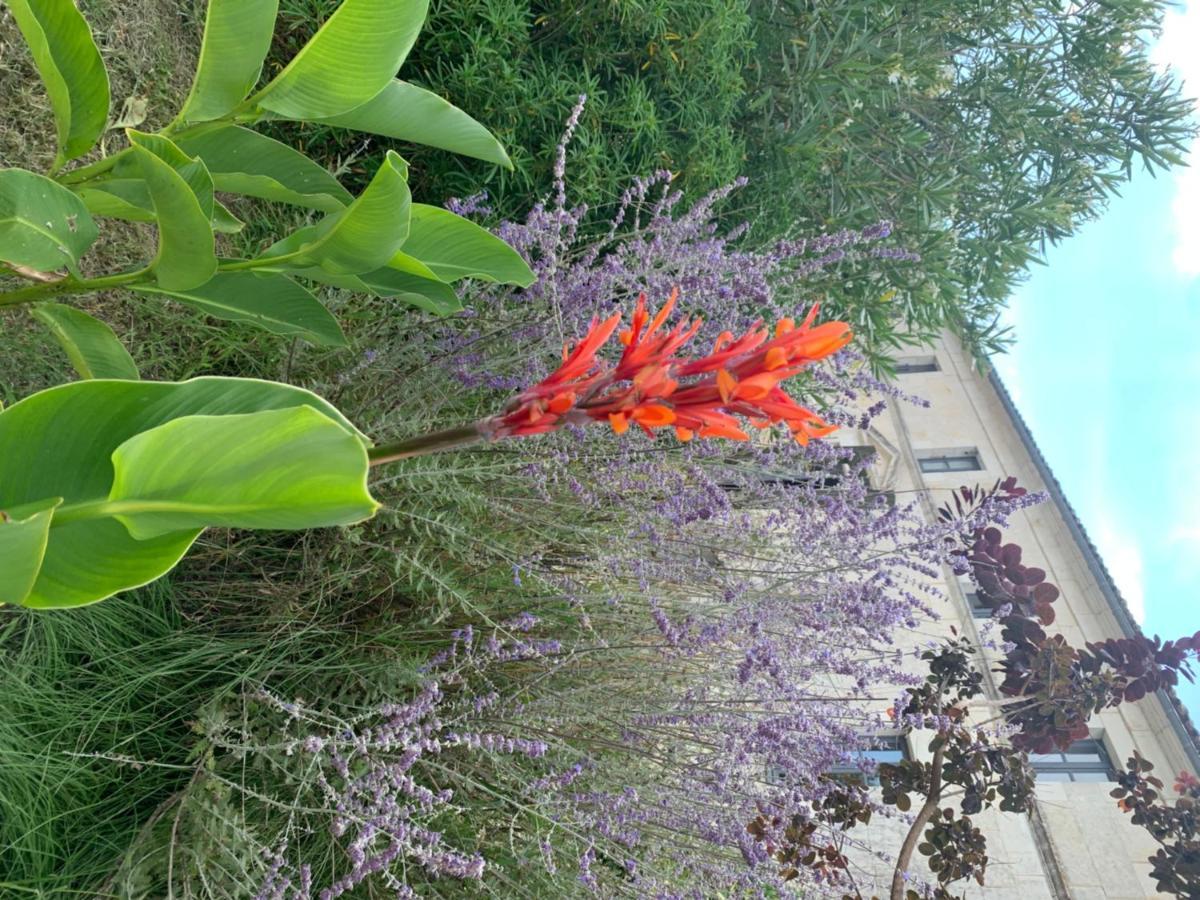 Domaine Terroceane Hotel La-Gripperie-Saint-Symphorien Kültér fotó
