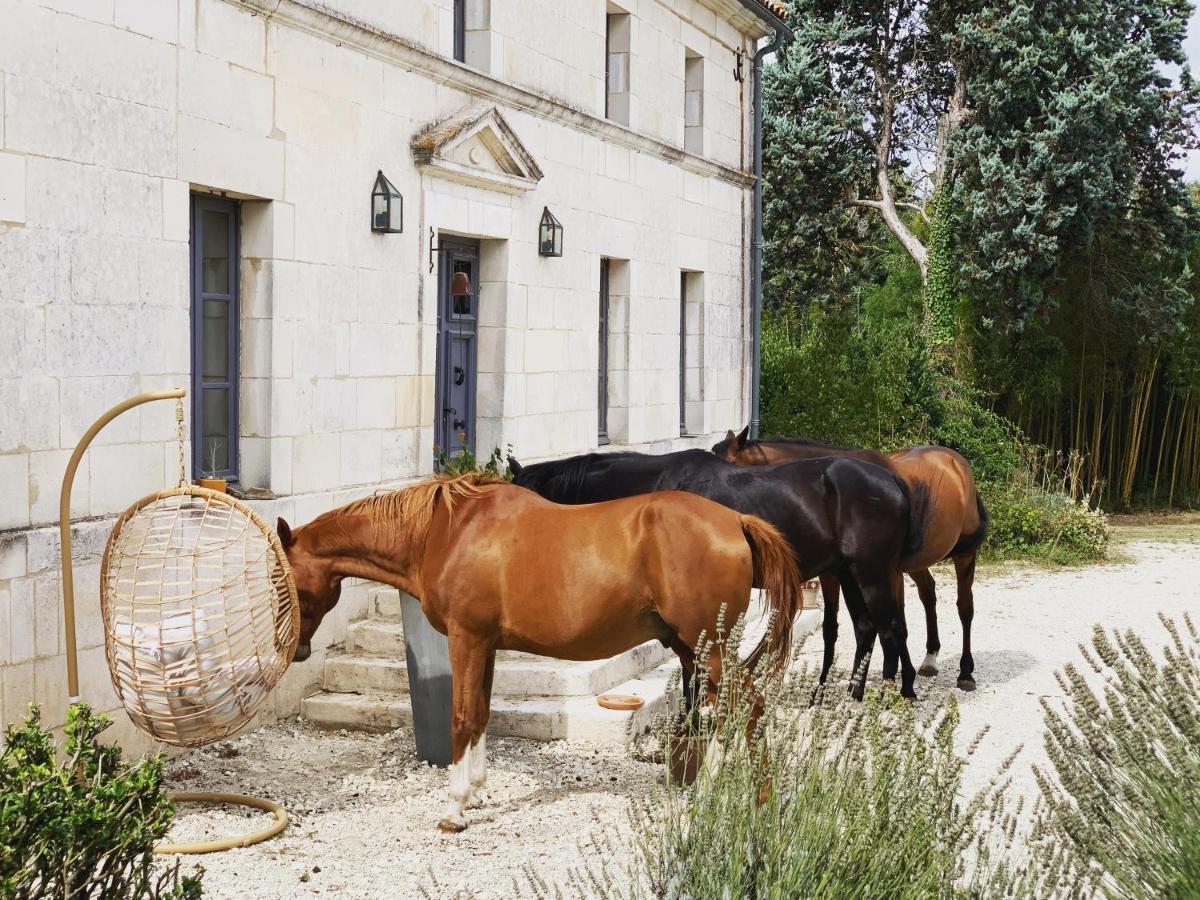 Domaine Terroceane Hotel La-Gripperie-Saint-Symphorien Kültér fotó