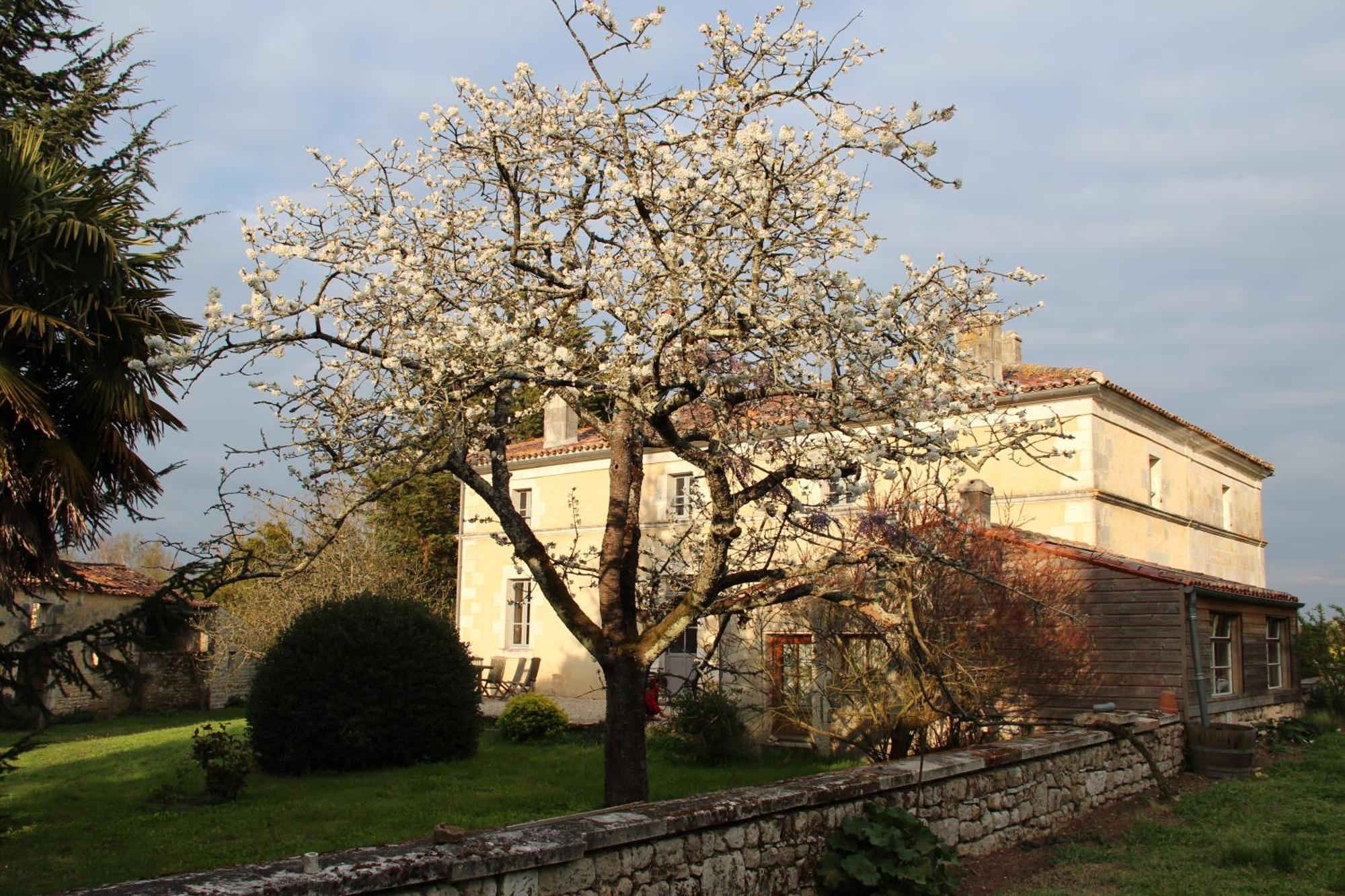 Domaine Terroceane Hotel La-Gripperie-Saint-Symphorien Kültér fotó