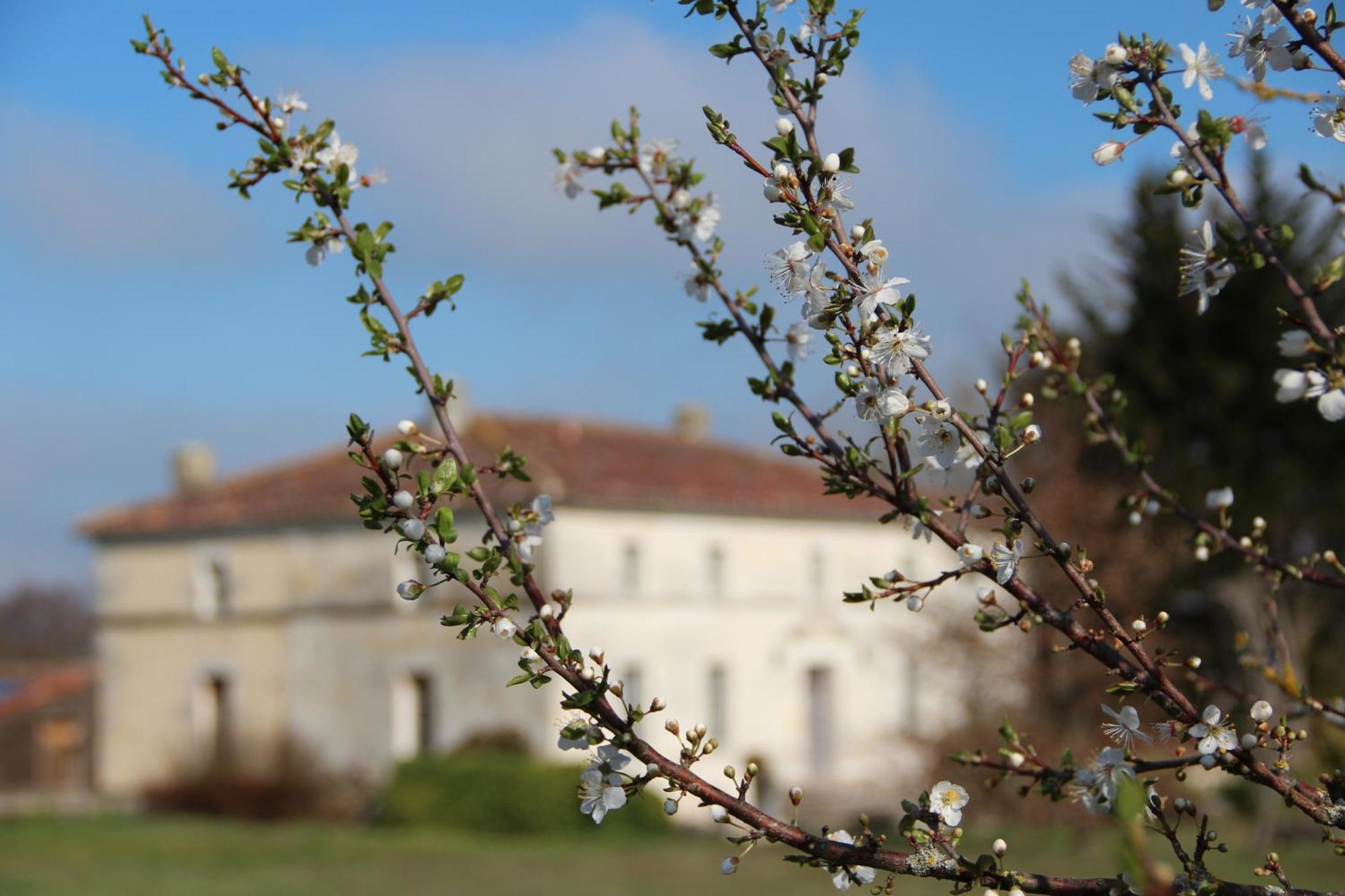 Domaine Terroceane Hotel La-Gripperie-Saint-Symphorien Kültér fotó