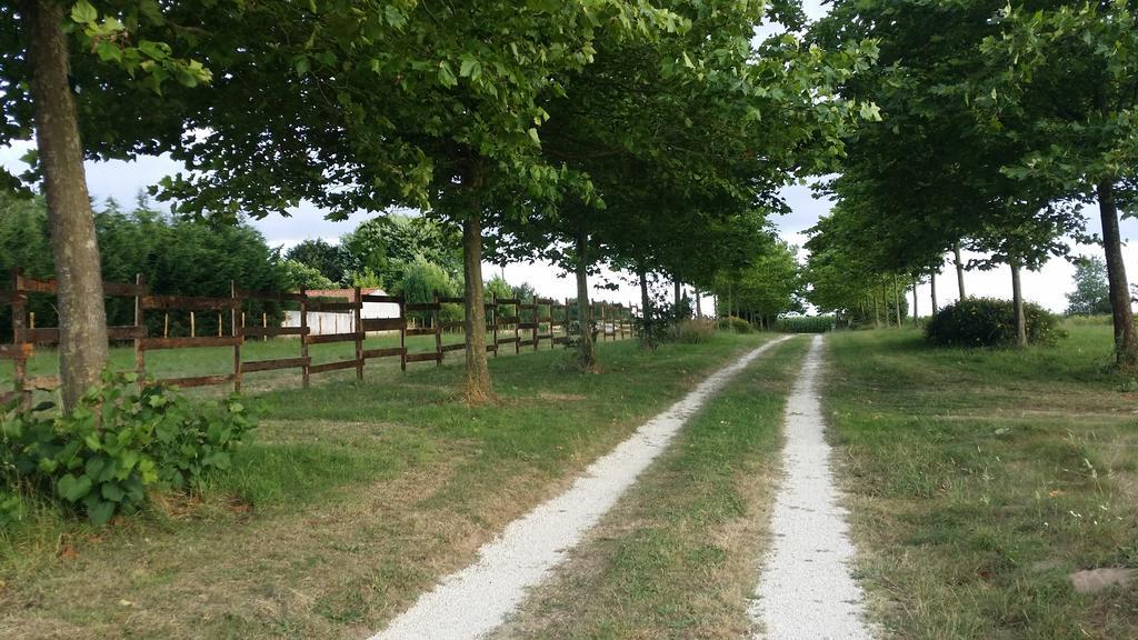 Domaine Terroceane Hotel La-Gripperie-Saint-Symphorien Kültér fotó