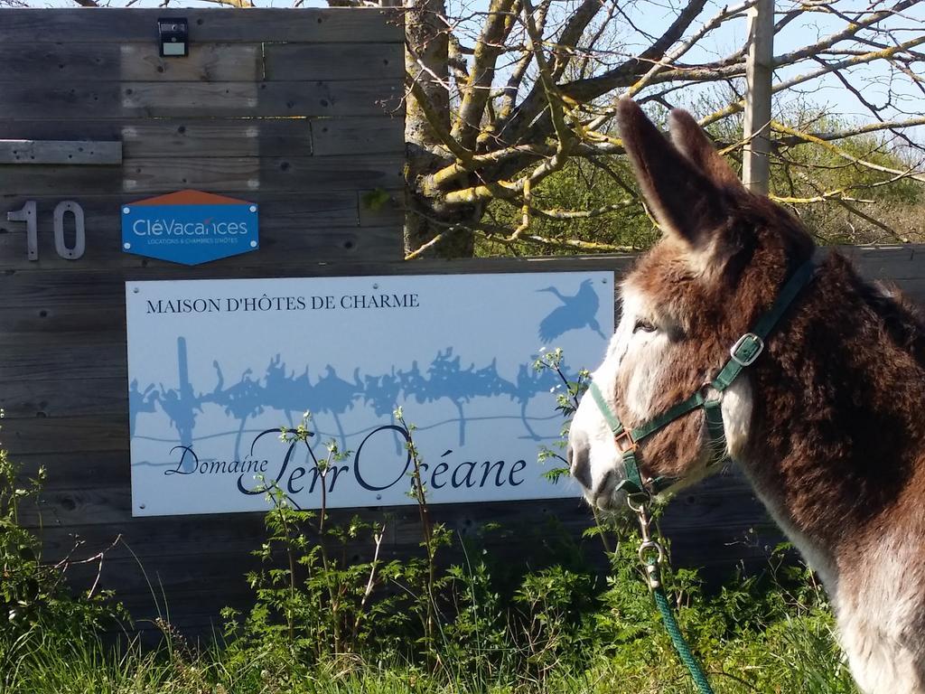 Domaine Terroceane Hotel La-Gripperie-Saint-Symphorien Kültér fotó